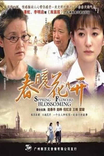 春暖花开结局解析？（电视剧春暖花开剧情介绍）
