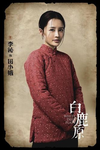 白鹿原李沁是第几个老婆?(李沁白鹿原剧情介绍)