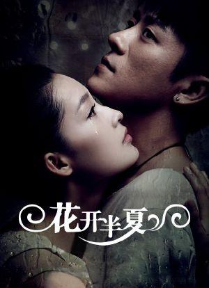 赵丽颖花开半夏一共多少集？（花开半夏剧情介绍剧情介绍）
