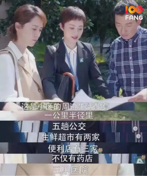 安家剧情精彩解析?(安家剧情介绍爱剧情)