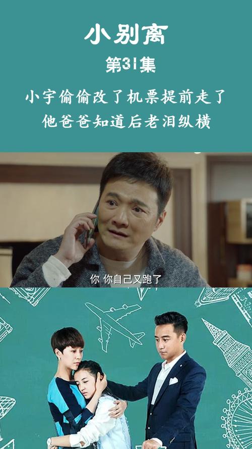 小别离小宇说飞机失事是哪集？（失事剧情介绍）