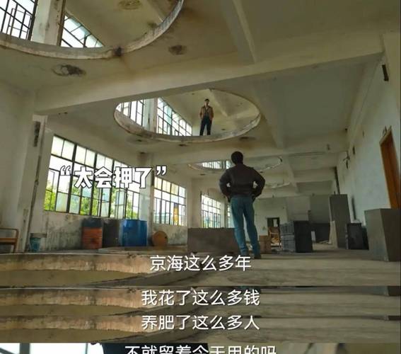 徐江杀死白江波是第几集?(送死剧情介绍)