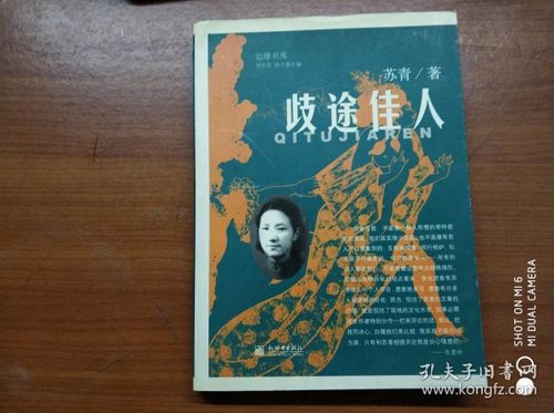 歧途佳人剧情介绍？（佳人剧情介绍）