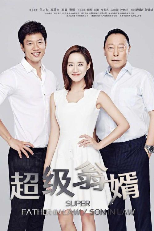 超级翁婿纸条上写的啥？（翁婿剧情介绍）