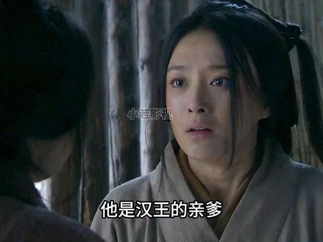 吕雉重回汗营是哪一集？（误国 剧情介绍）
