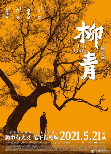 电影柳青什么意思?(柳青剧情介绍)