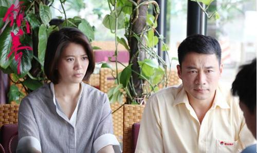 领养电视剧是那年拍摄的？（领养剧情介绍）