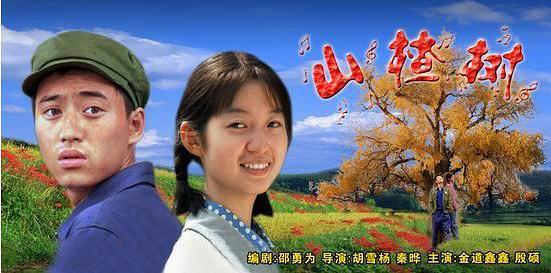 那年山楂树故事梗概？（山楂剧情介绍）