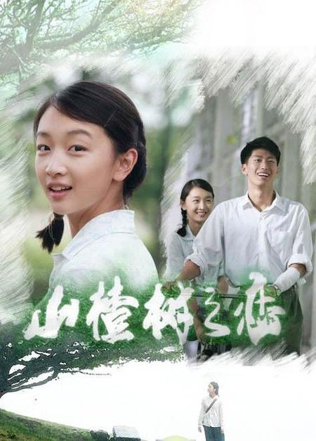 那年山楂树故事梗概?(山楂剧情介绍)