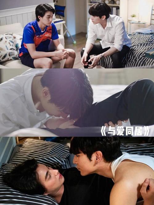 记得15泰剧剧情介绍？（过去剧情介绍）