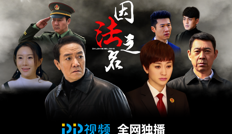 如何评价由李幼斌、李小冉、张丰毅主演的电视剧《因法之名》？（再审剧情介绍）