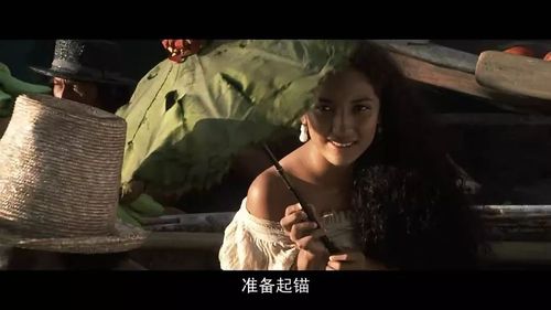 记得是一部外国电影,好像是说一男一女躲避病毒剧情好像是一开始是一个男人用除草车把自己压死,后面的有?(躲藏剧情介绍)