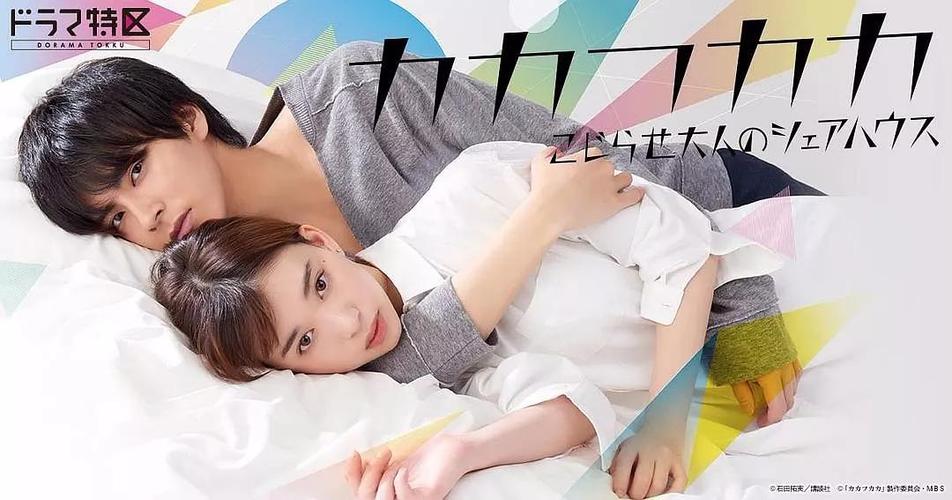 可不可以合租房日剧剧情介绍?(日剧剧情介绍)