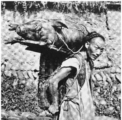 有谁能够推荐一些以清朝末期为背景的经典动作片不?(山妹剧情介绍)