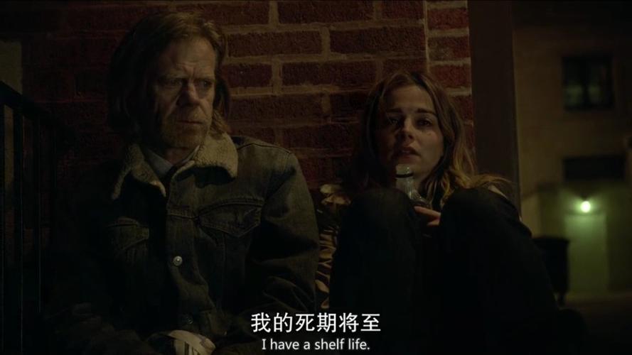 无耻之徒第十季剧情解析？（shameless 剧情介绍）