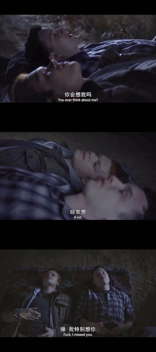 无耻之徒第十季剧情解析?(shameless 剧情介绍)