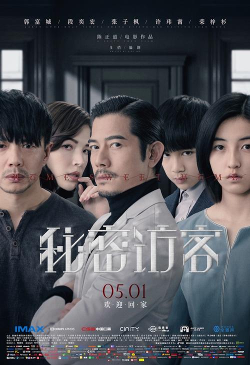 神秘访客电影剧情介绍?(访客剧情介绍)