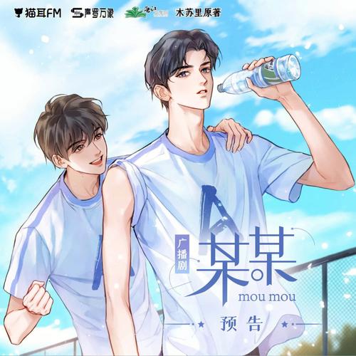 某某广播剧第一季有多少集？（某某剧情介绍）