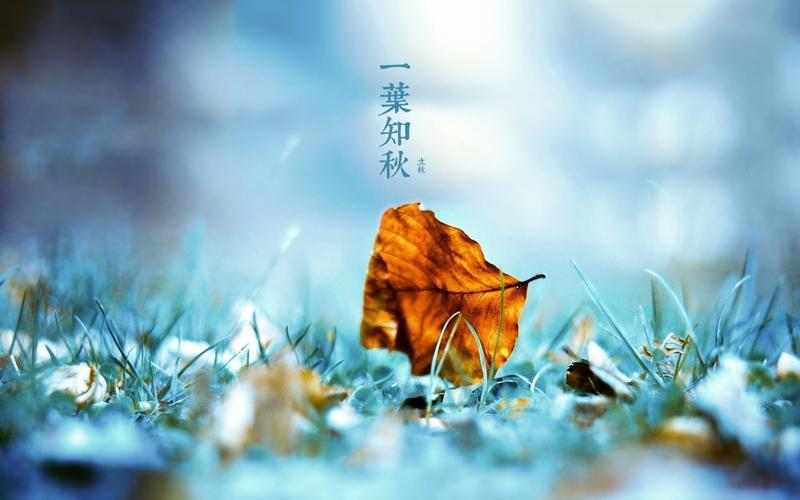 立秋女主角是谁?(立秋剧情介绍)