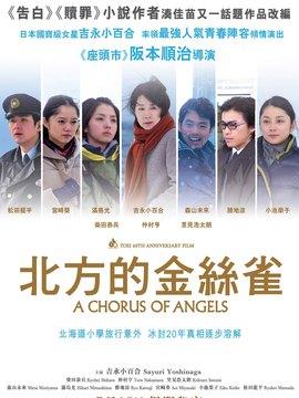 北方的金丝雀剧情详解？（北方剧情介绍）