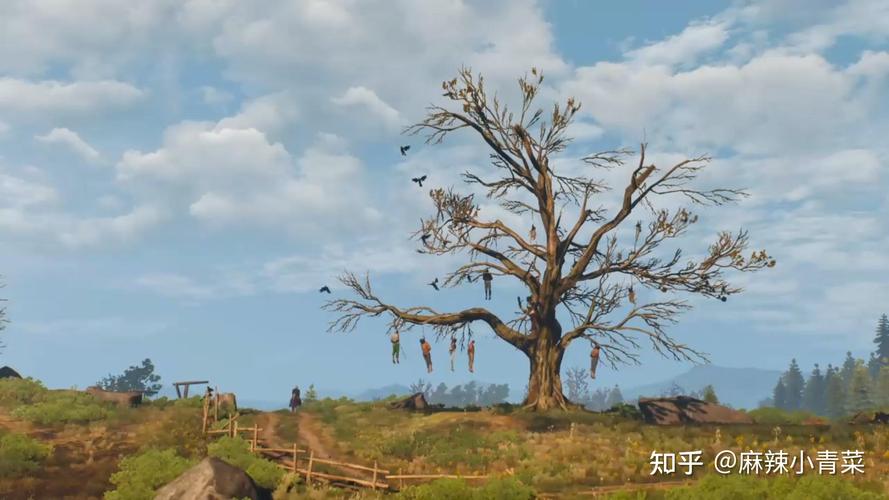 巫师3 威伦魔力之所?(魔力剧情介绍)