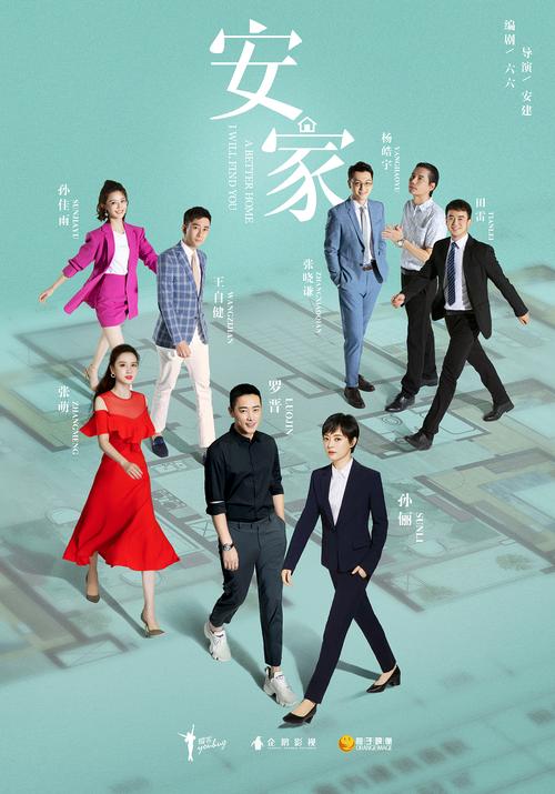 安家连续剧剧情?(安家 剧情介绍)
