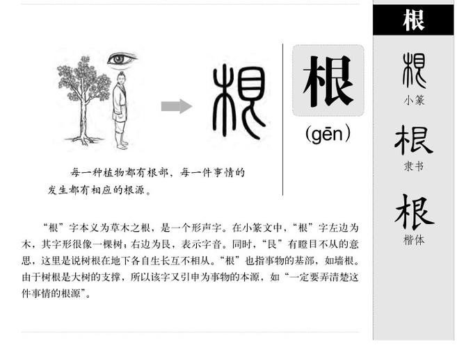 根可以组什么词语？（根剧情介绍）