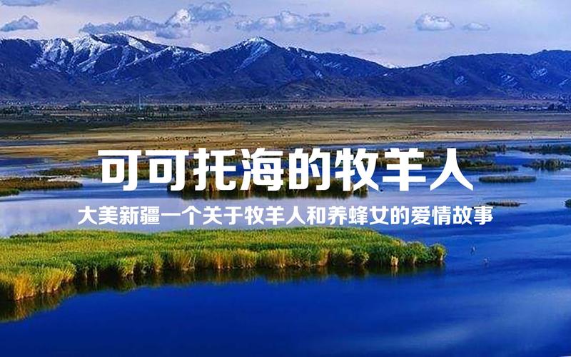 可可托海的牧羊人电视剧剧情介绍？（野花剧情介绍）