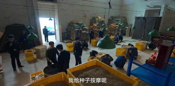 狂飙第三十集内容介绍？（30剧情介绍）