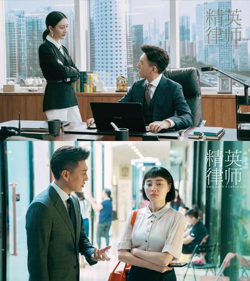 律师精英剧情介绍？（律师剧情介绍）