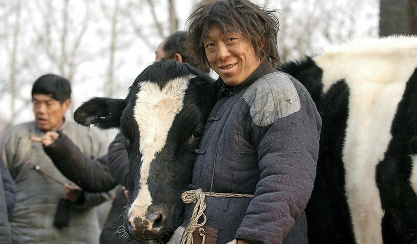 电影《斗牛》主要讲的是个什么事啊?(life剧情介绍)