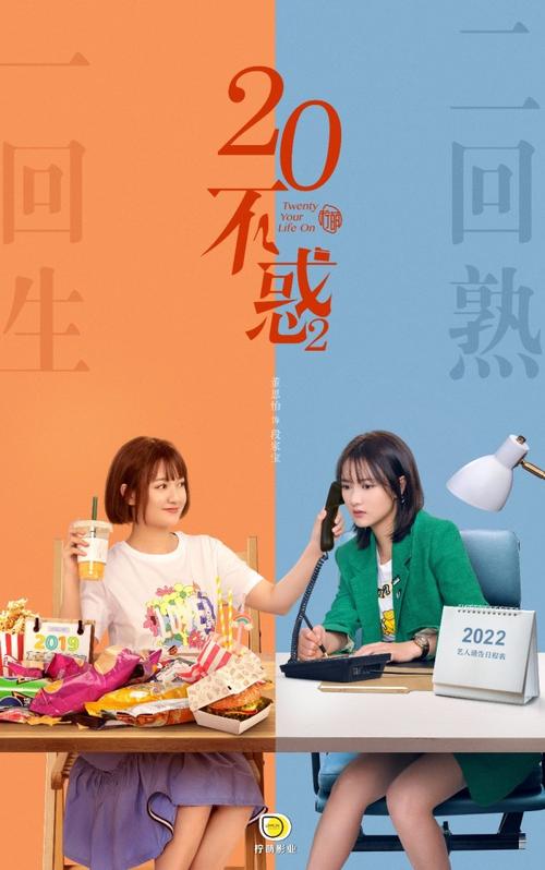 二十不惑意思?(二十不惑剧情介绍介绍)