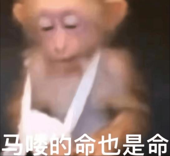 冷漠谐音字?(蜗魔剧情介绍)