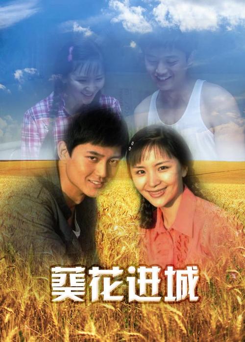 葵花进城剧透？（桂花进城剧情介绍）