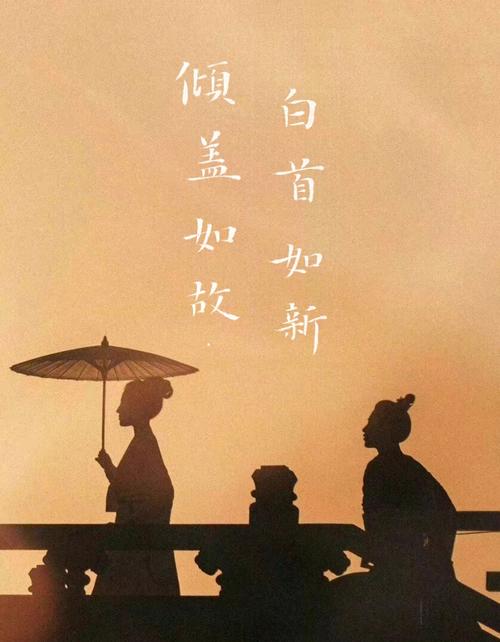 白首相逢征战后,青春已过乱离中赏析？（乱青春剧情介绍）