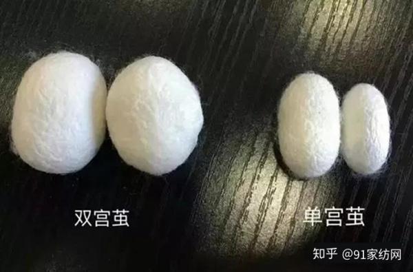 双宫茧是什么意思?(双重束缚剧情介绍)