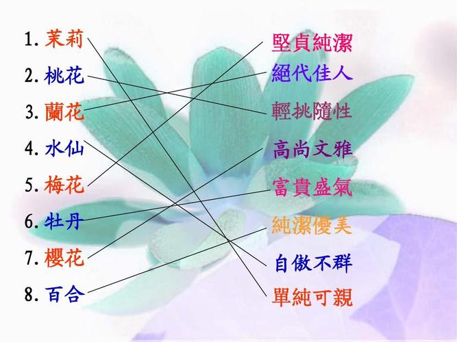 百合花的主题概括?(平凡品格剧情介绍)