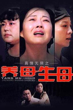 真情无限大结局?(真情无限剧情介绍)