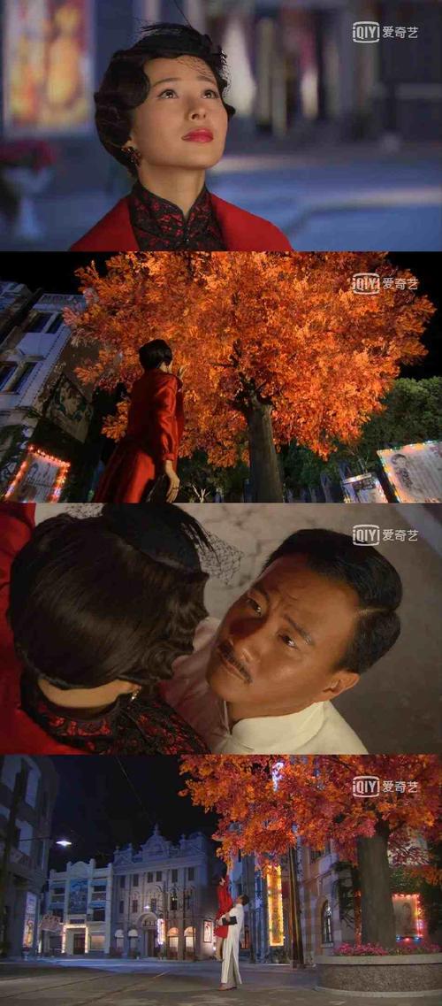 赵永芳段绍荣结婚第几集?(落红 剧情介绍)