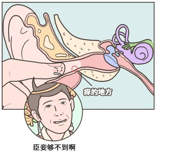 女人喜欢掏男人耳朵是什么意思？（掏耳朵 剧情介绍）