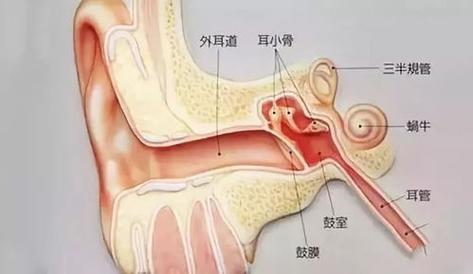 女人喜欢掏男人耳朵是什么意思?(掏耳朵 剧情介绍)