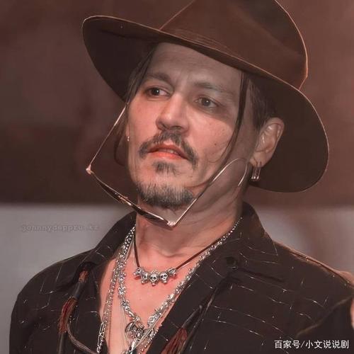 为什么约翰尼德普拍一部电影的片酬竟然有5千6百万美元那?为什么周杰伦拍一部青蜂侠只有100百万美金那?(电影美元剧情介绍)
