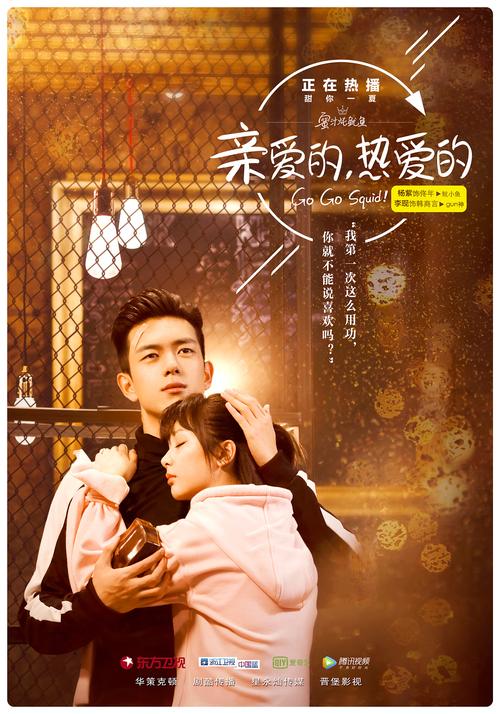 亲爱的热爱的剧集介绍？（电视热爱剧情介绍）