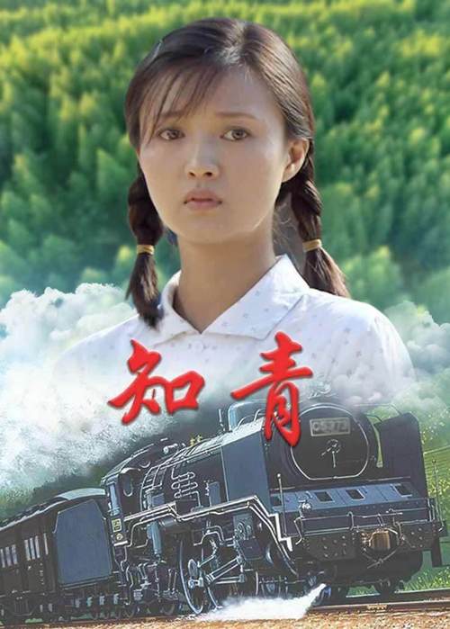 以“知青”为题材的电影和电视剧都有哪些?(知青回家剧情介绍)