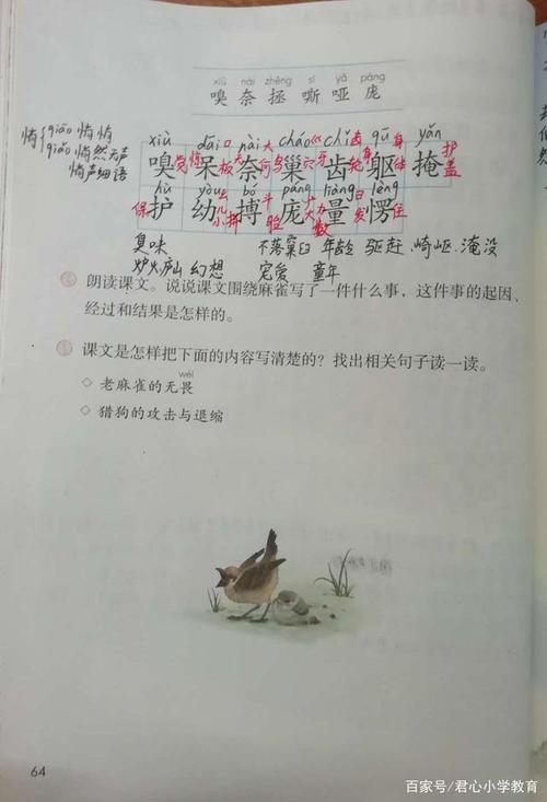 《麻雀》课文叙述了什么事情？（麻雀集剧情介绍）