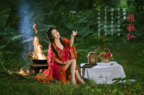 聊斋狐仙驯悍记介绍?(聊斋狐仙剧情介绍)