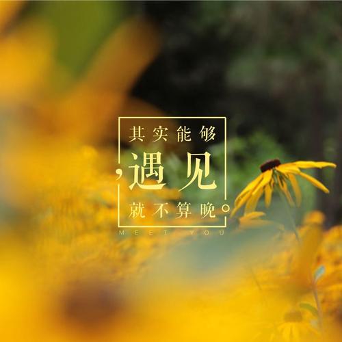 世间最美 莫过于遇见是什么意思?(《最美遇见》剧情介绍)