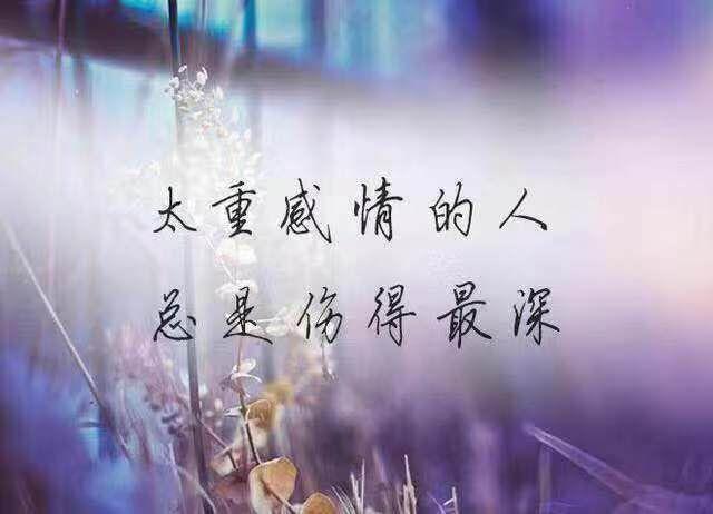 老婆爱打麻将伤感的句子说说心情?(悲情媳妇剧情介绍)